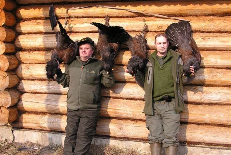 Európa / Poľovačka na hlucháňa a tetrova v Rusku Európa / Poľovačka na hlucháňa a tetrova v Rusku
