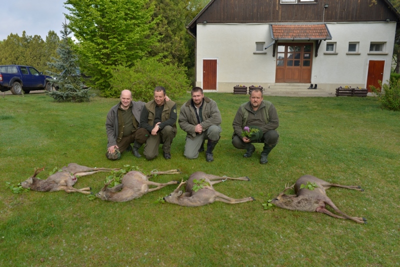 Európa / Paušál na tri väčšie srnce