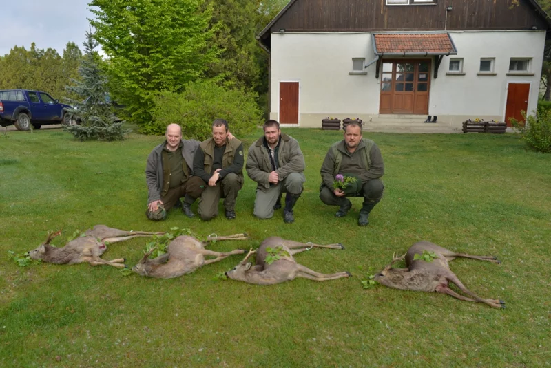 Európa / Paušál na tri väčšie srnce Európa / Paušál na tri väčšie srnce