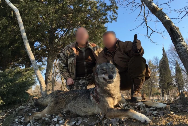 Poľovačka v Chorvátsku / Poľovačka na vlka v Macedónsku Poľovačka v Chorvátsku / Poľovačka na vlka v Macedónsku