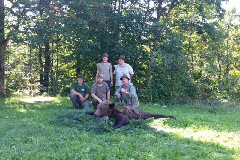 Európa / Poľovačka na medveďa v Chorvátsku Európa / Poľovačka na medveďa v Chorvátsku